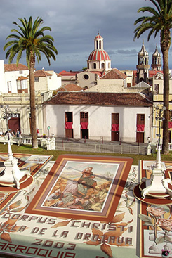 La Orotava carpets