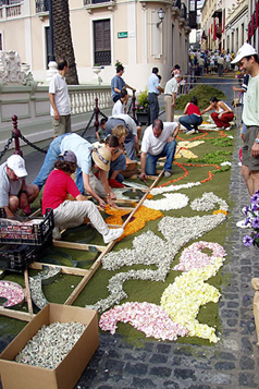 Corpus Christi flower carpet