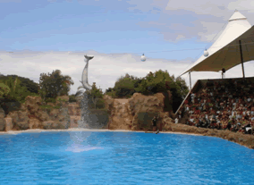 Loro Parque